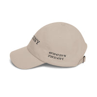 Cantigny Battlefield | Coordinate Series | Dad Cap |  Baseball Hat